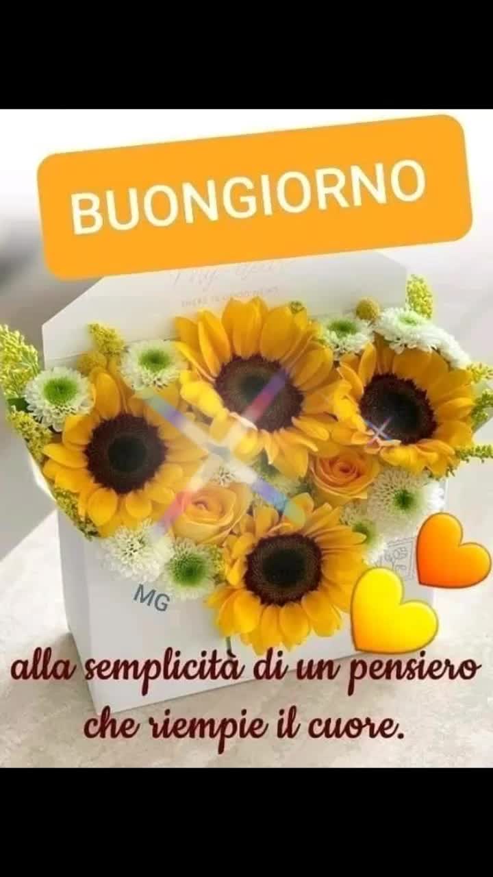 @Chiara Attardo82