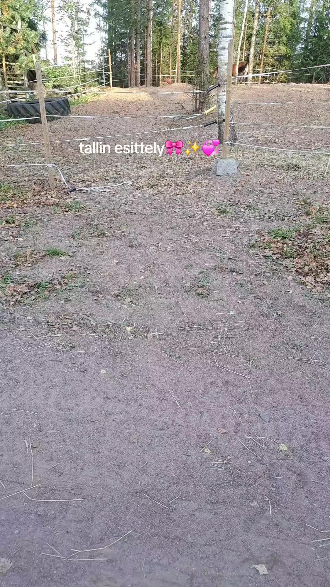 @Ponirannan talli🇫🇮🐎
