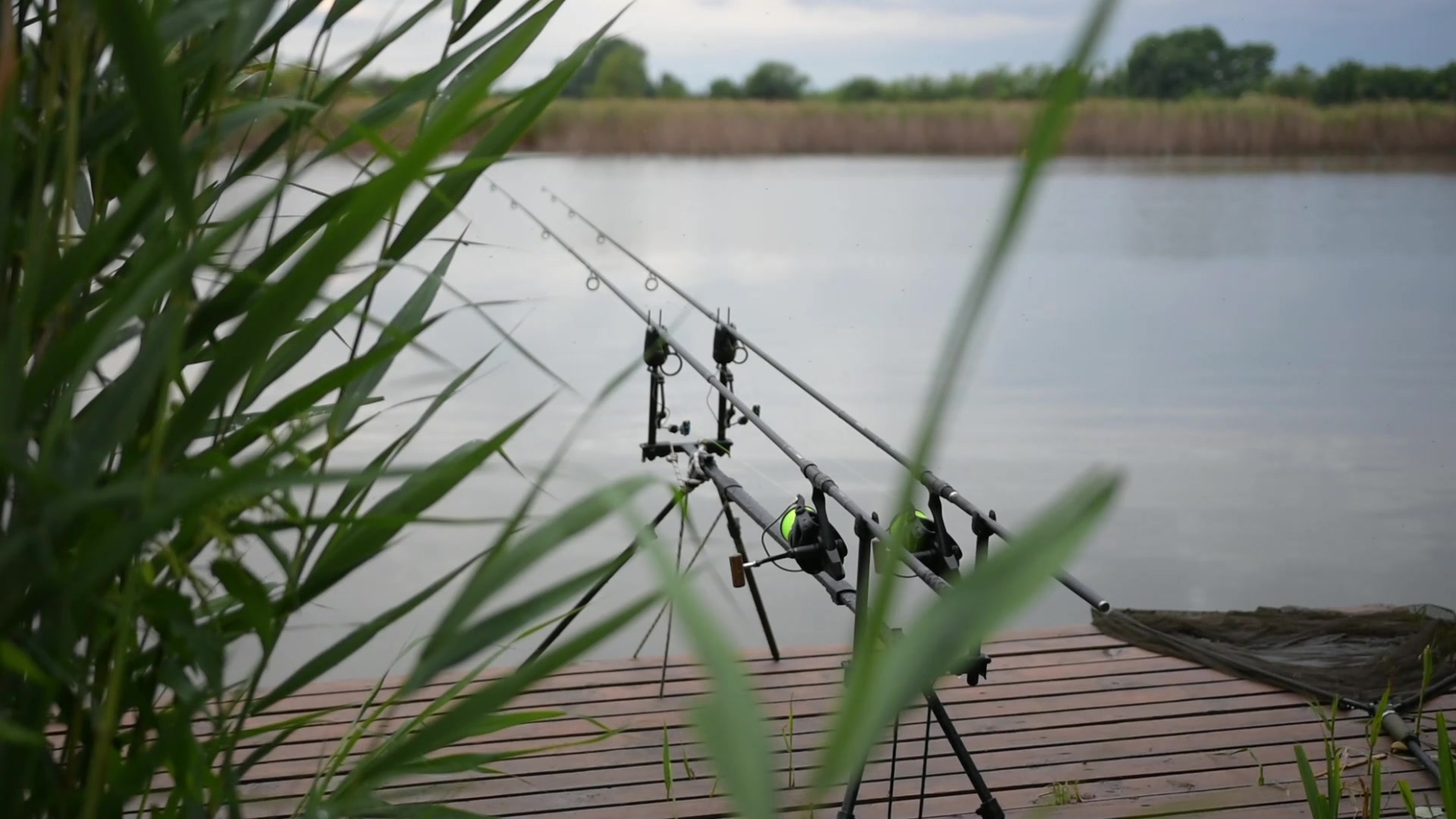 @🇭🇺CarpHunter🎣Dénes🇭🇺