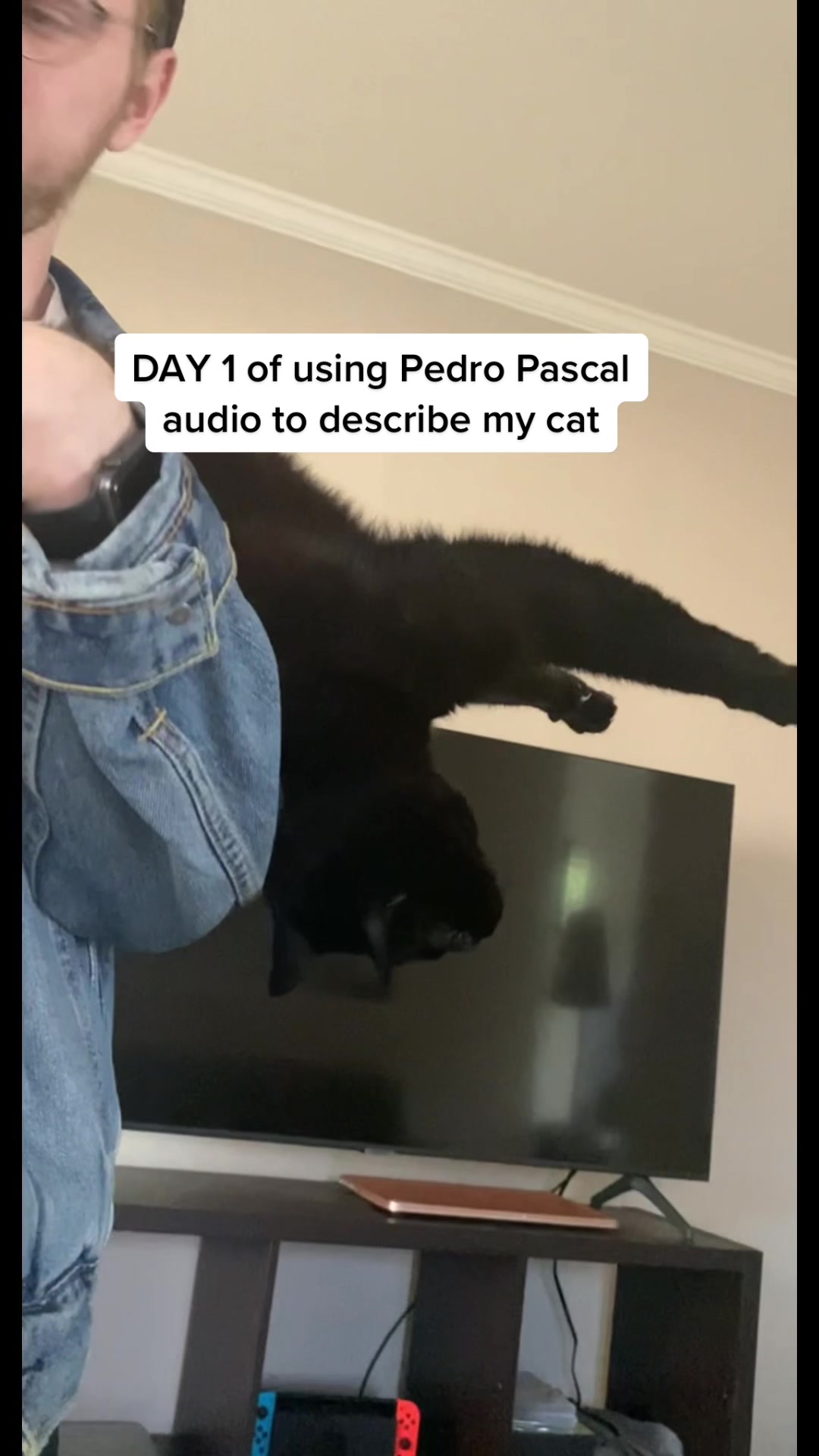 @Mr. Tiny Bagheera