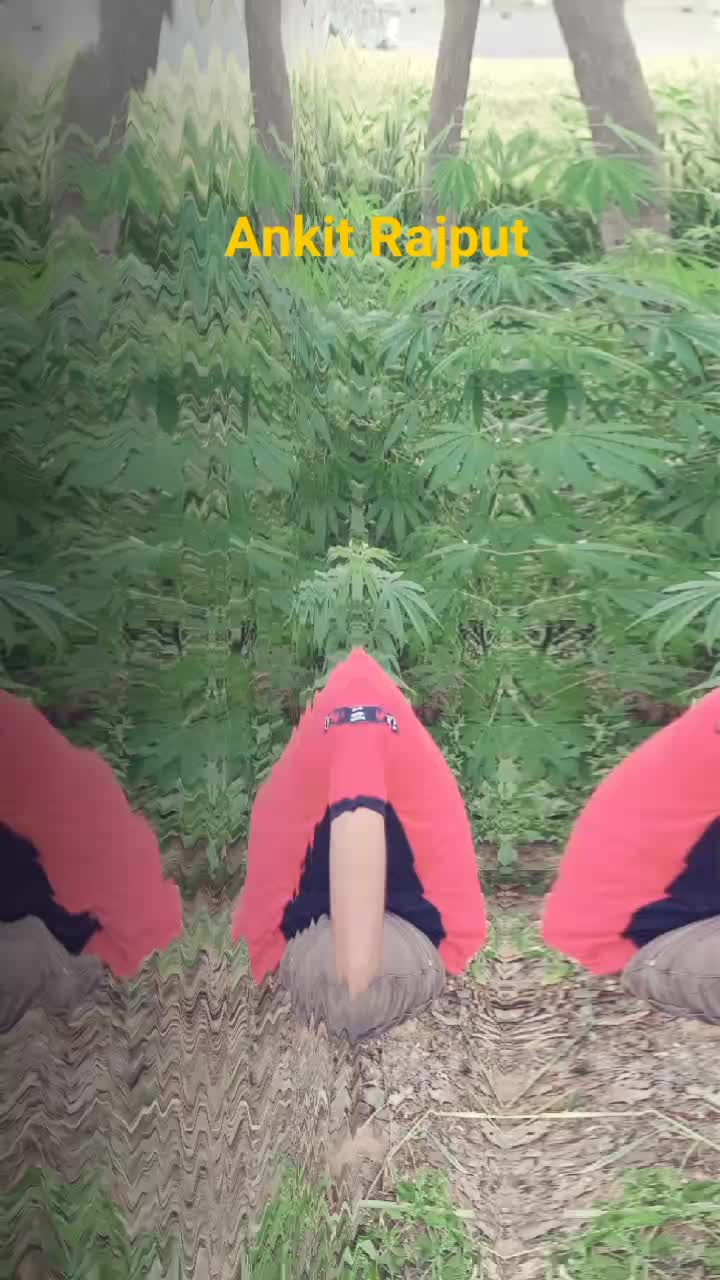@user9917032946469