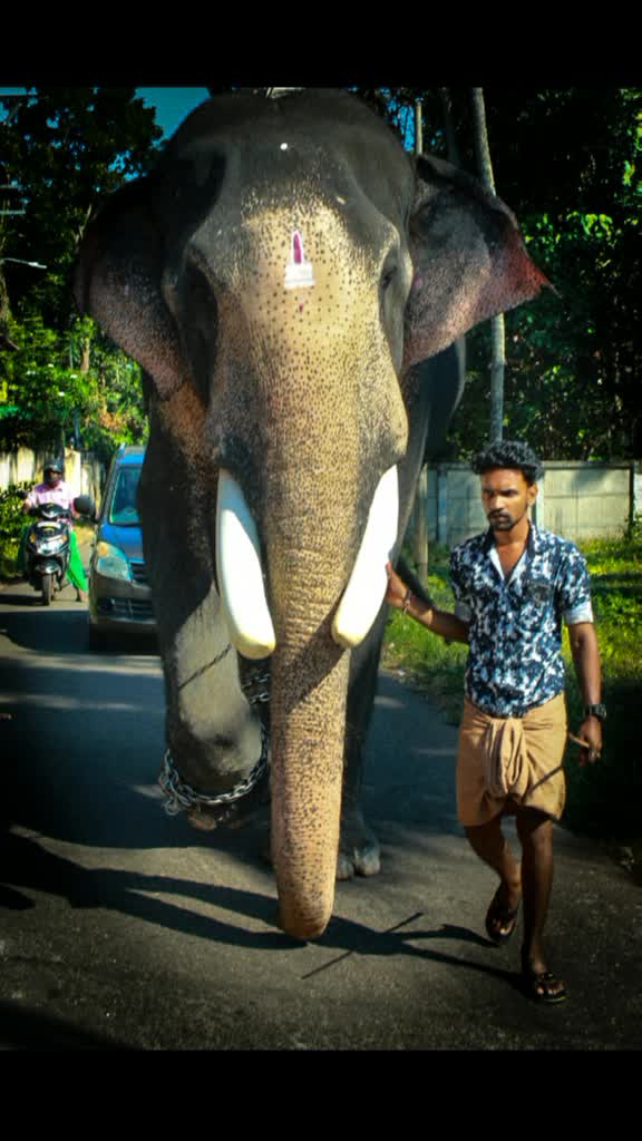 @ഒറ്റയാൻ