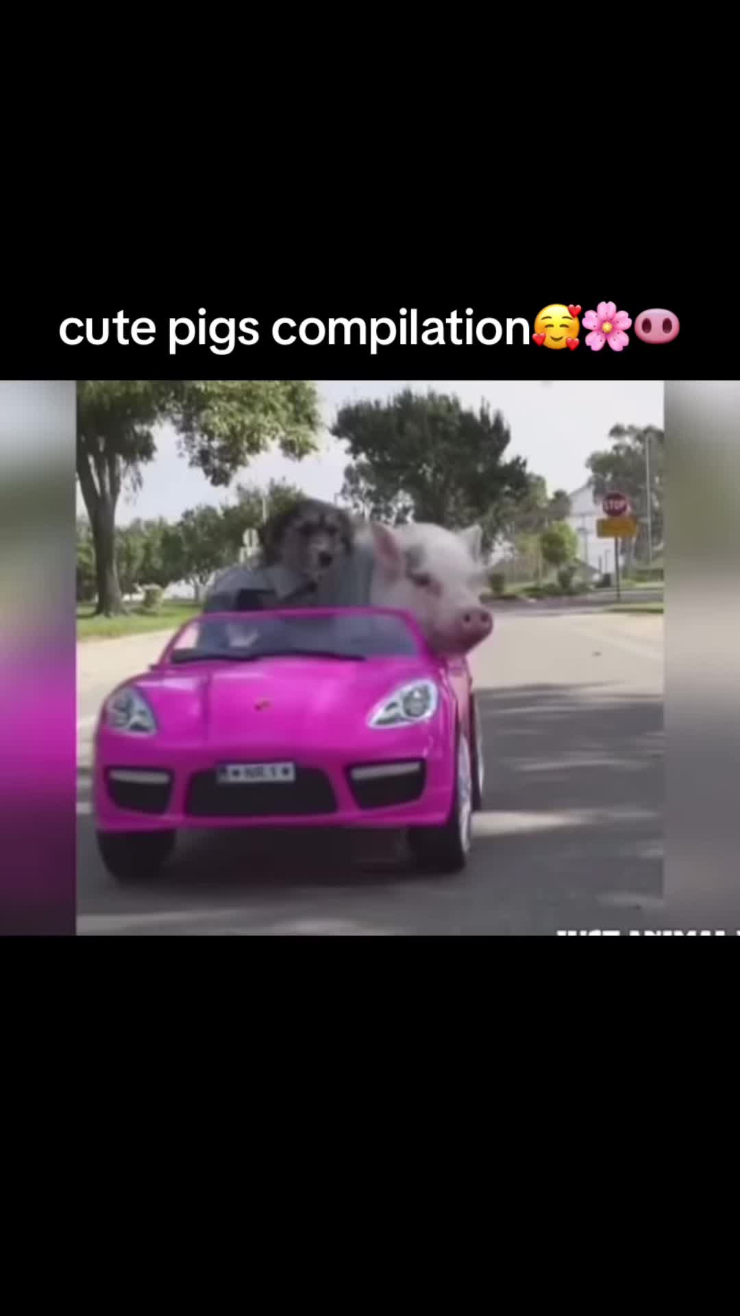 @die