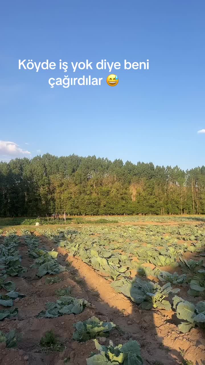 @Orhan &Ccedil;elik
