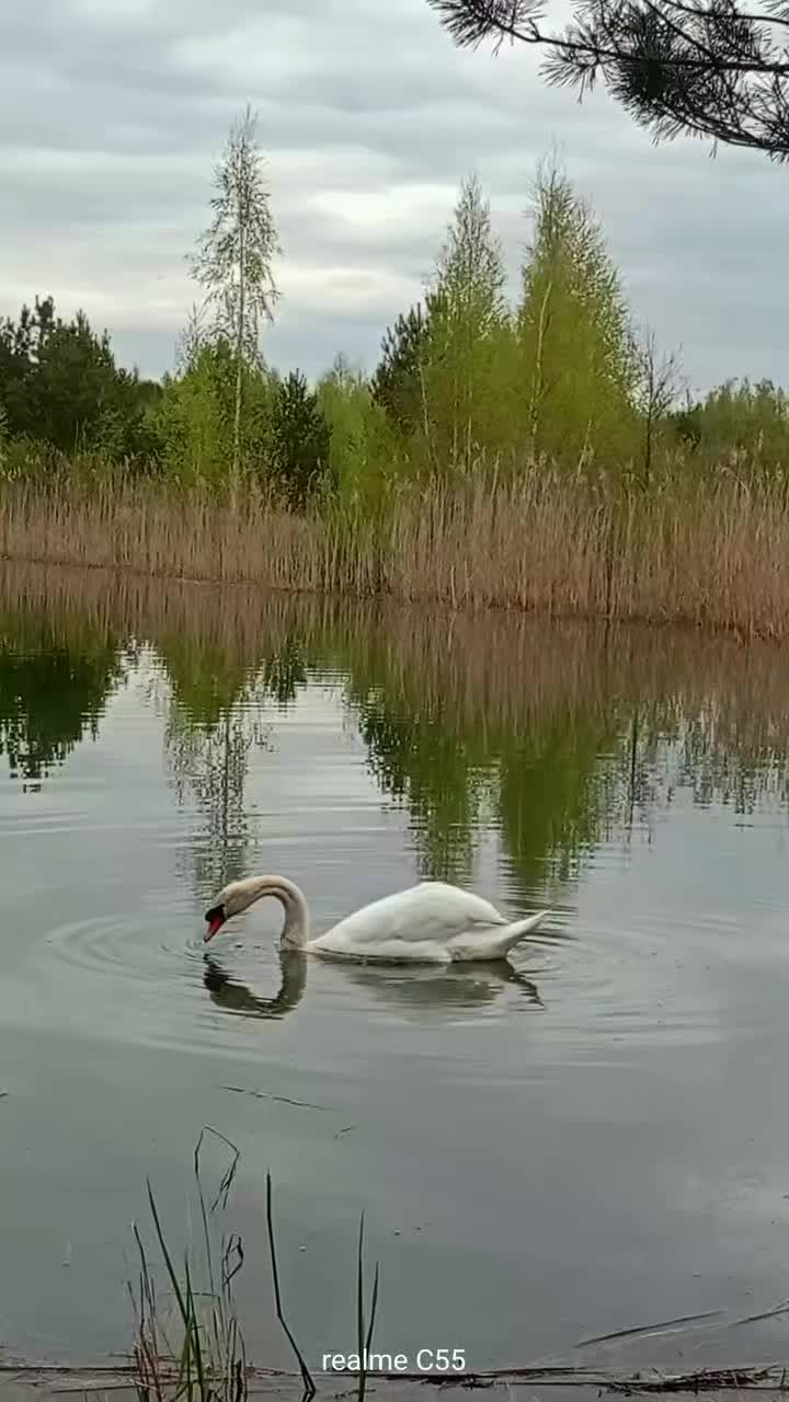 @Юльчик_937 🌊