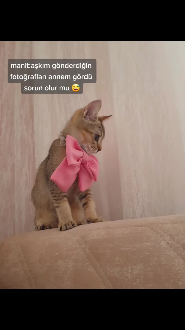 @Alya