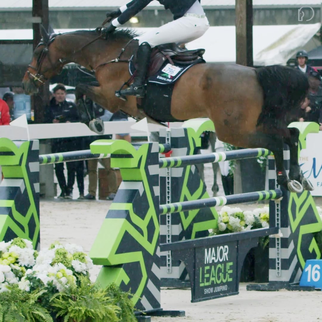 @HorseNetwork