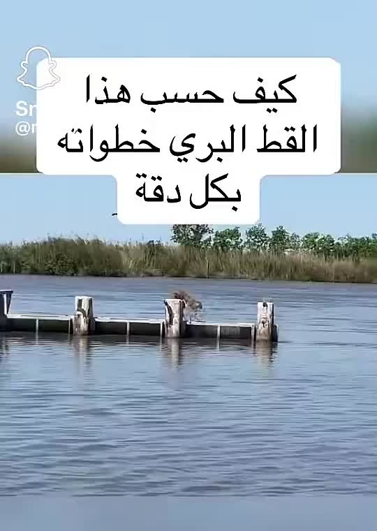 @Tikapo