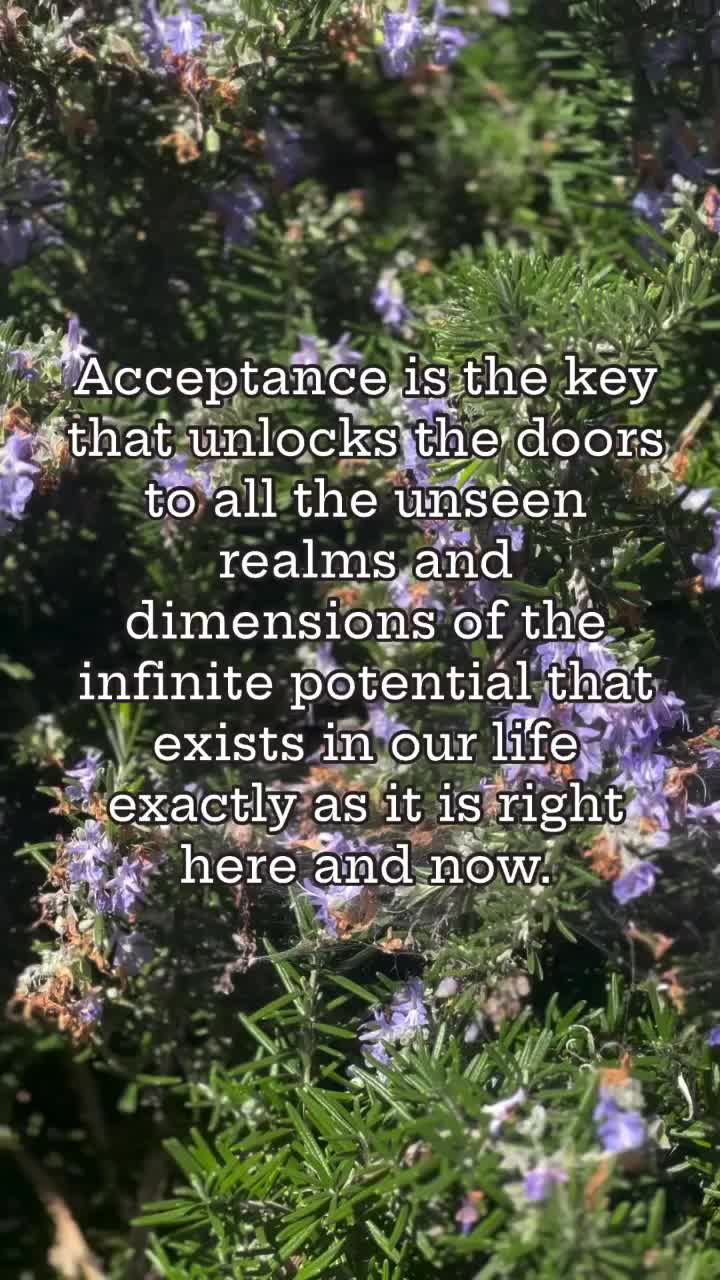 @_intothewyld