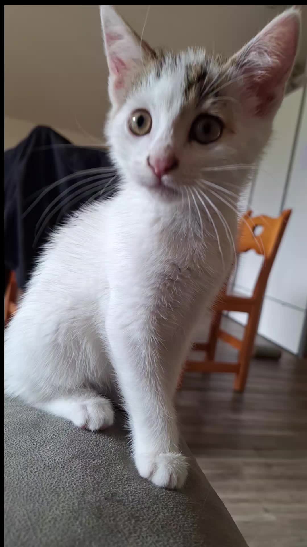 @Jessika 💖😊