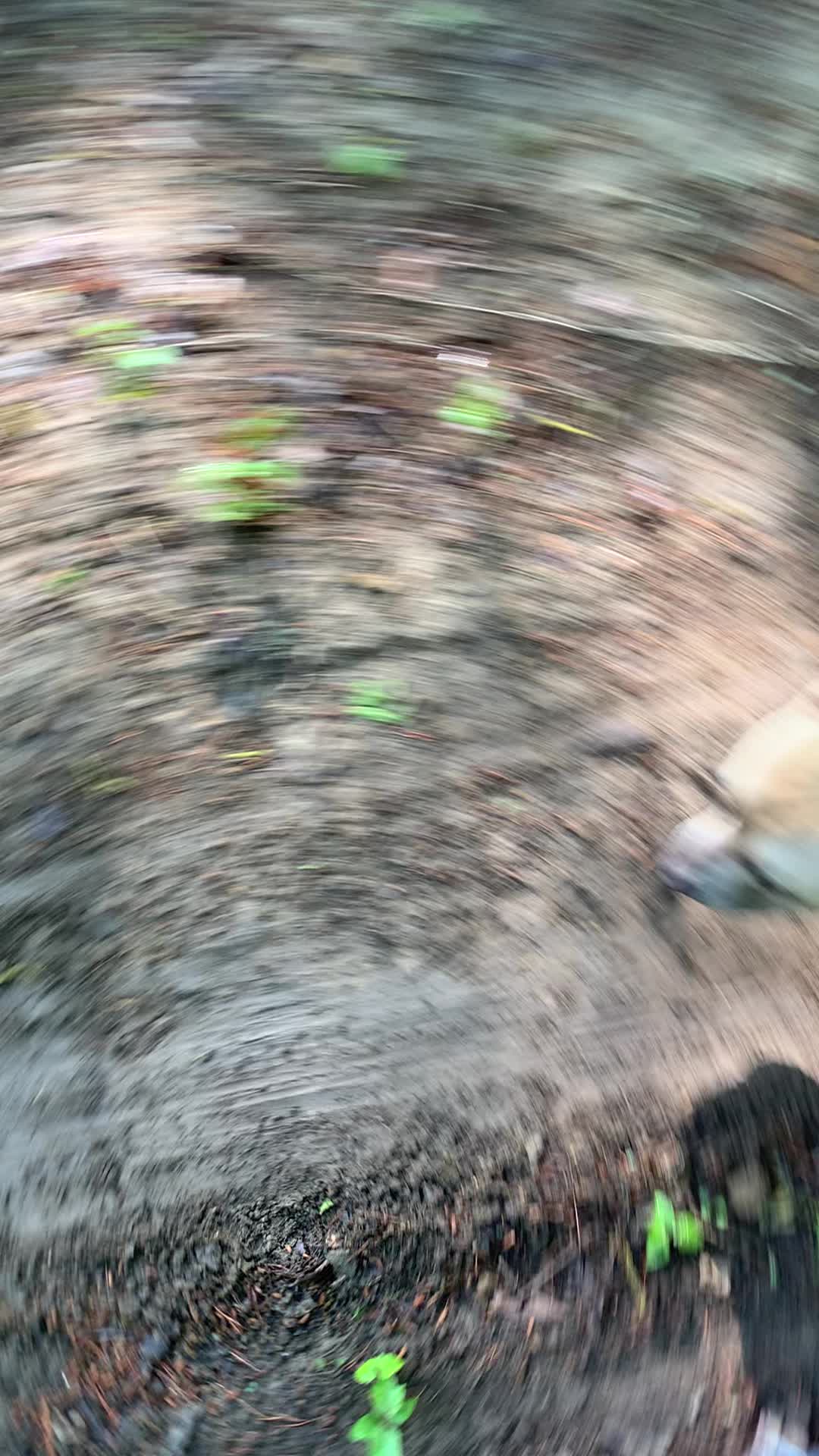 @Mount_Ruckus_Kennels