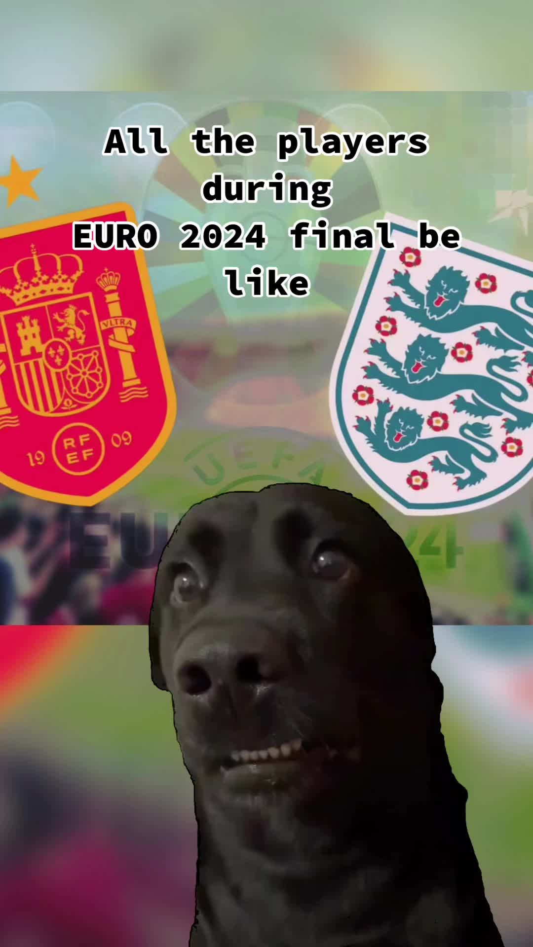 @Football Memes