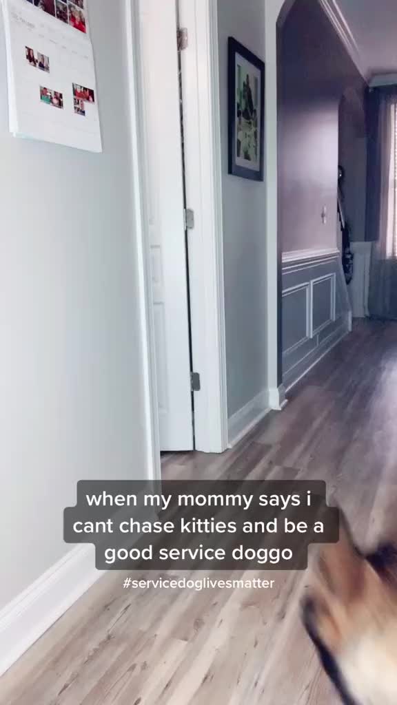 @Mali, Meadow, + Nemo 🥰❤️🥰