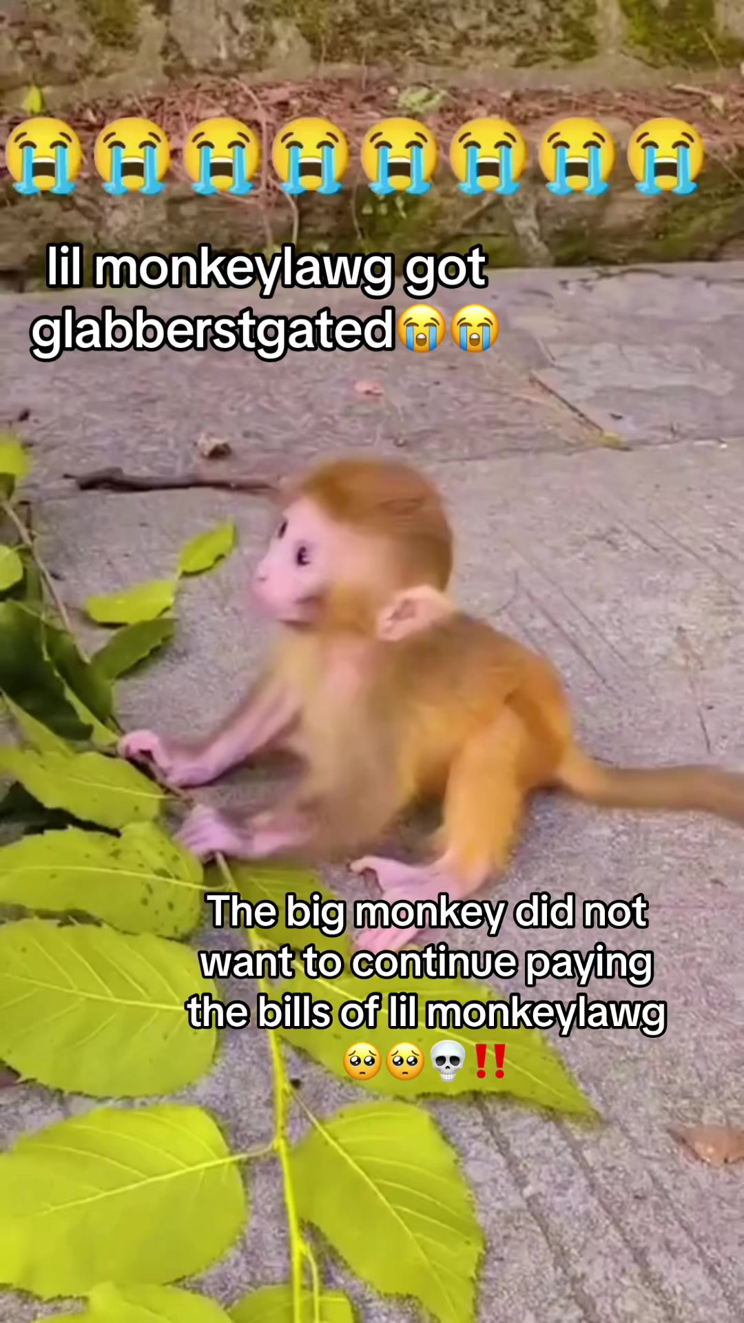 @minister