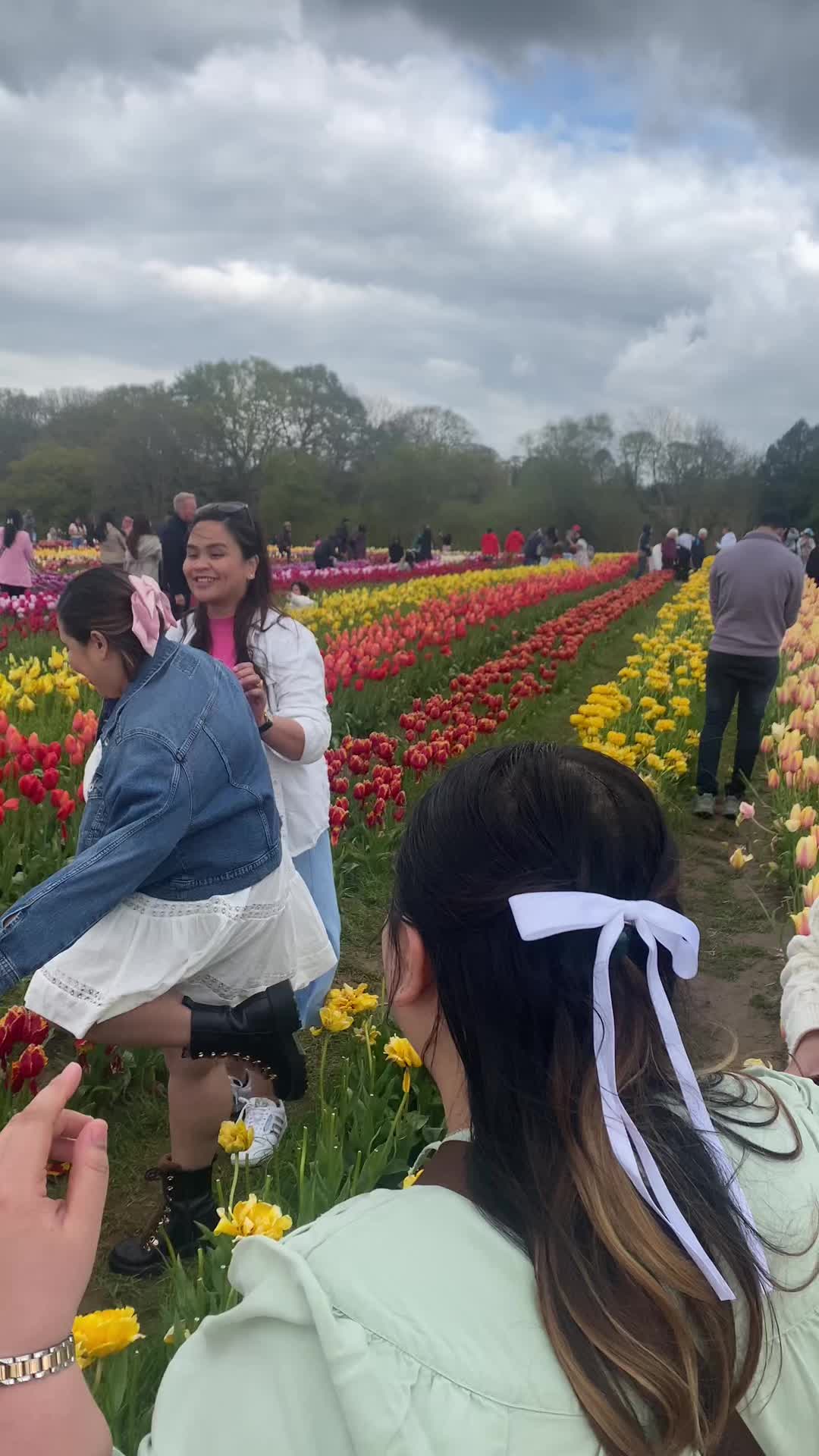 @fetOot