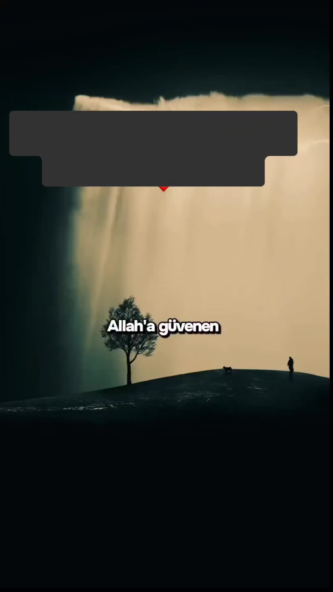@Elvin_Elvin