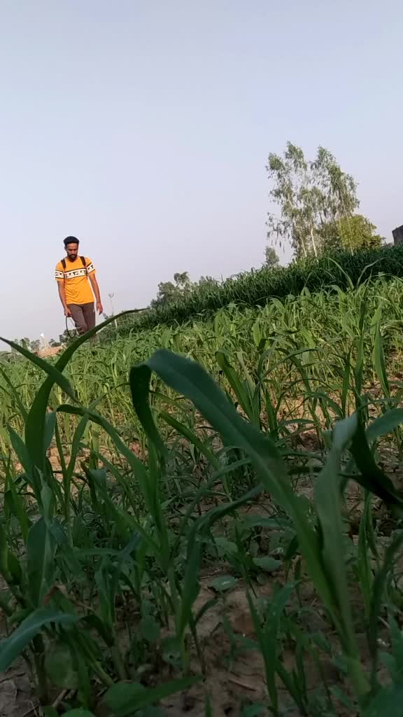 @Harpreet singh 🇦🇪
