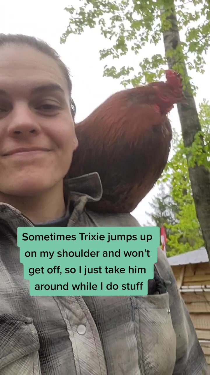 @alexlabaj