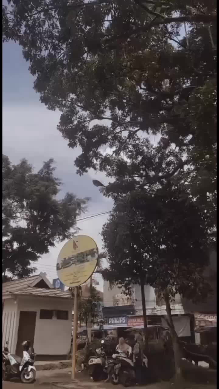 @braveforces_