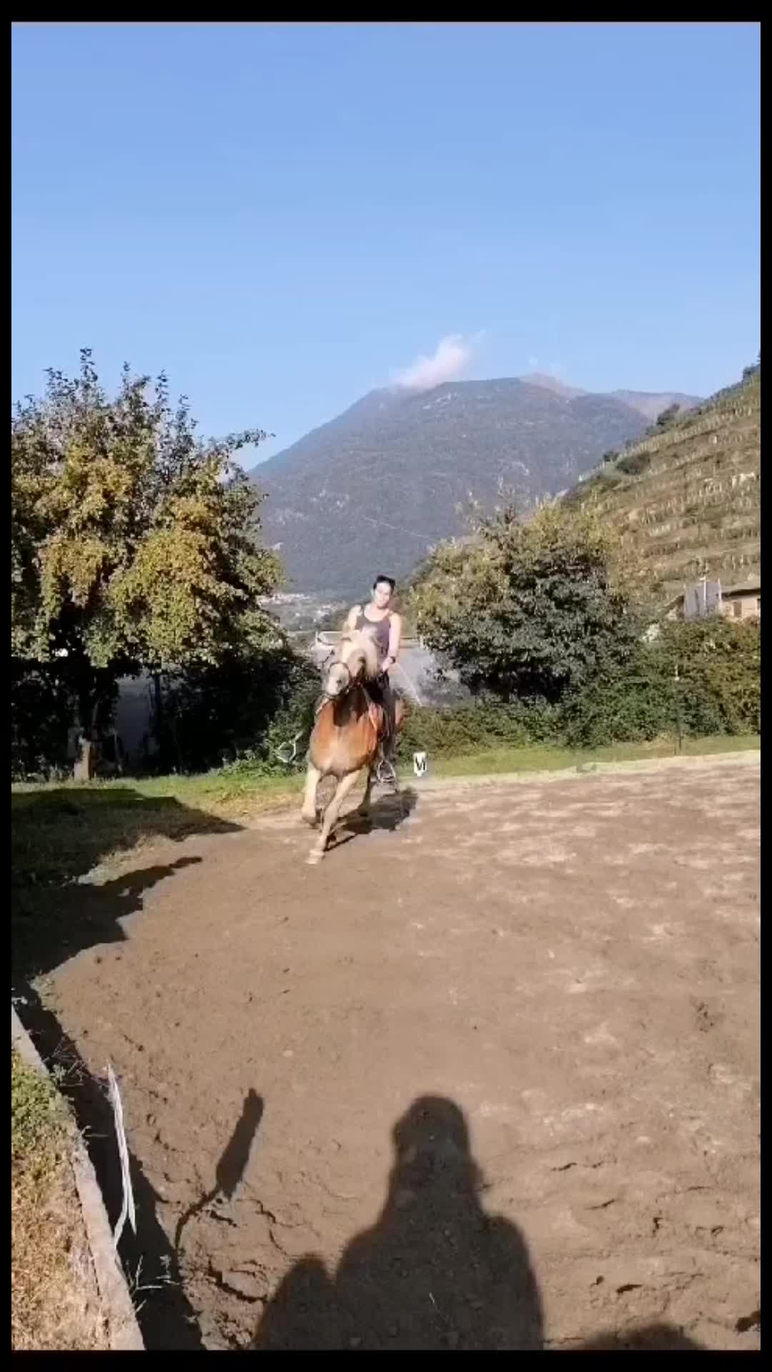@Pamela Lanzini