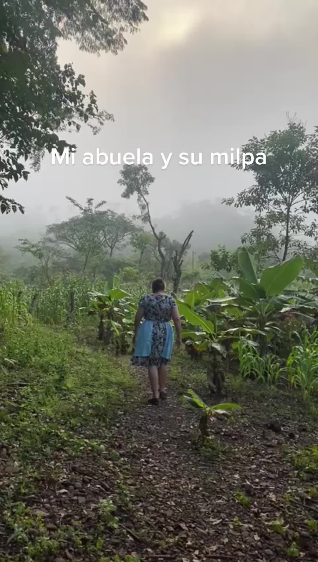 @JustGlendys