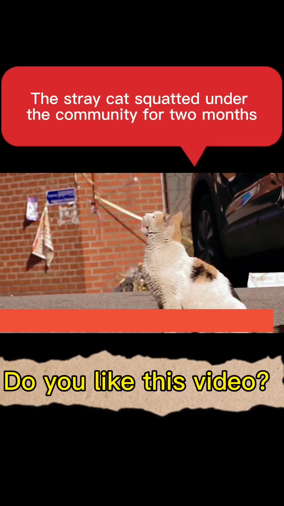 @eva