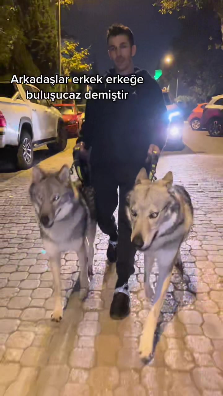 @Niko Aslaner