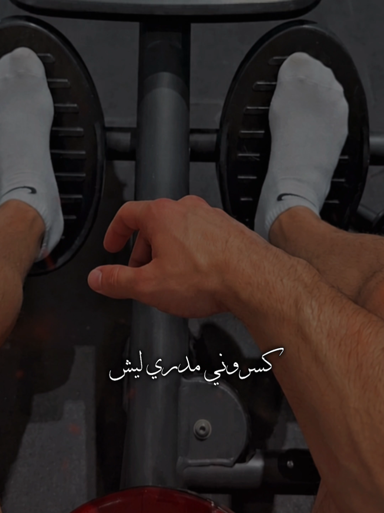 @صدى اللحن