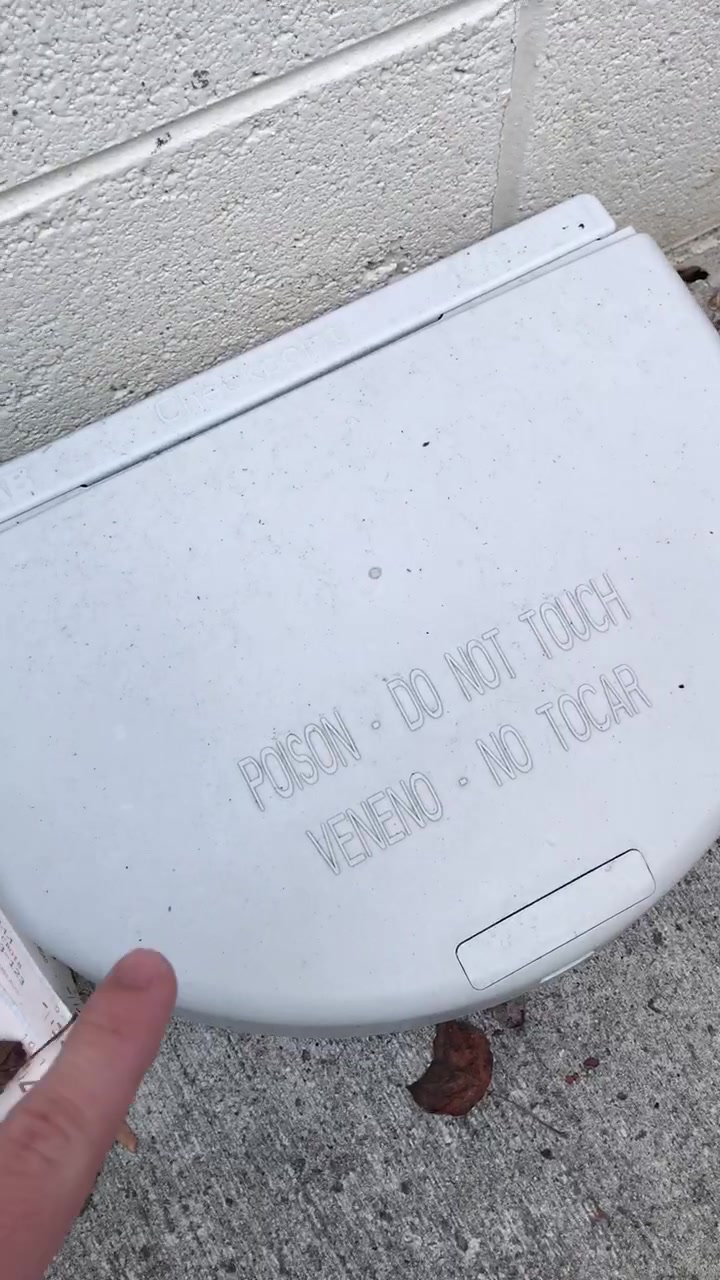@Reese