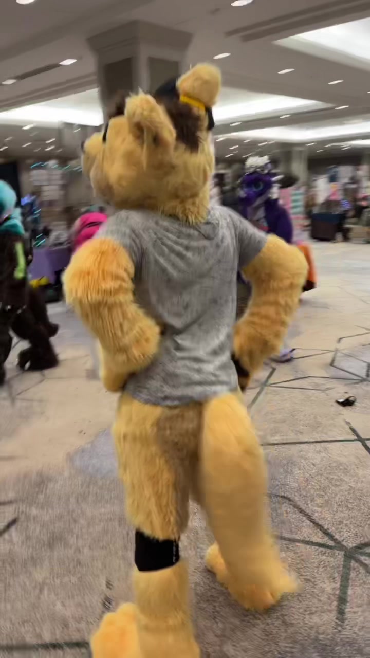 @Daxterdingo