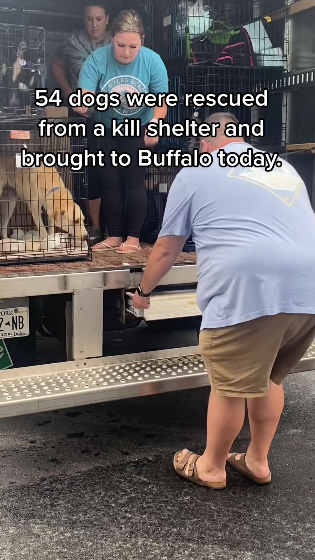 @Sweet Buffalo to the Rescue