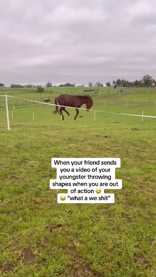 @Claire & Merlin Adventures