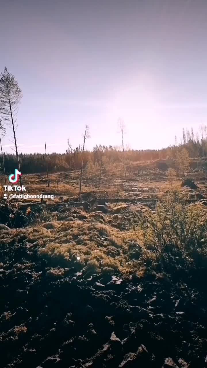 @Daniel Risberg