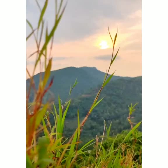 @munavvir_mohd