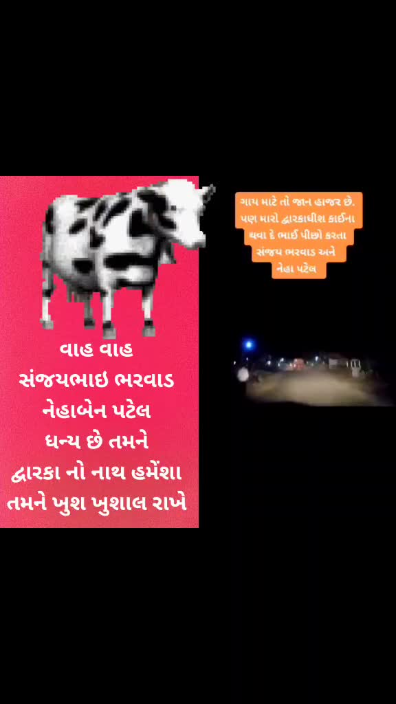 @kilu patel RAJKOT