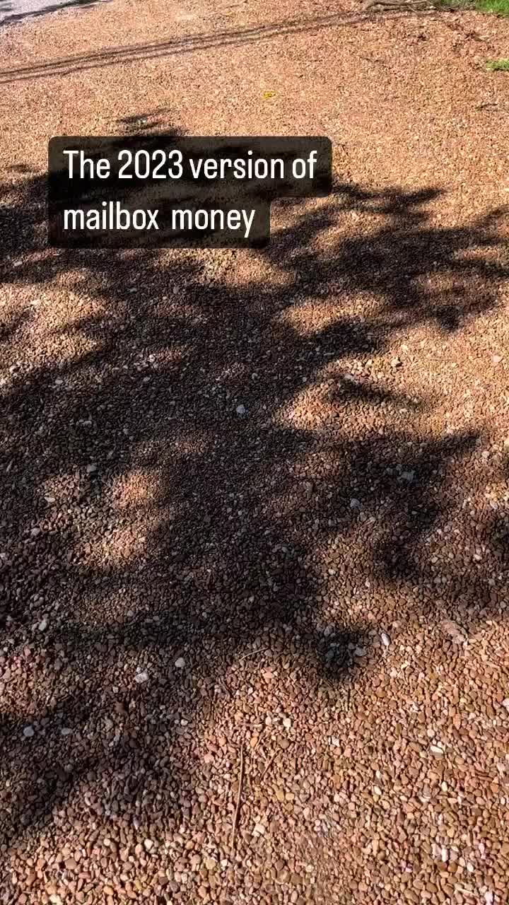 @GuineaPiggyBank
