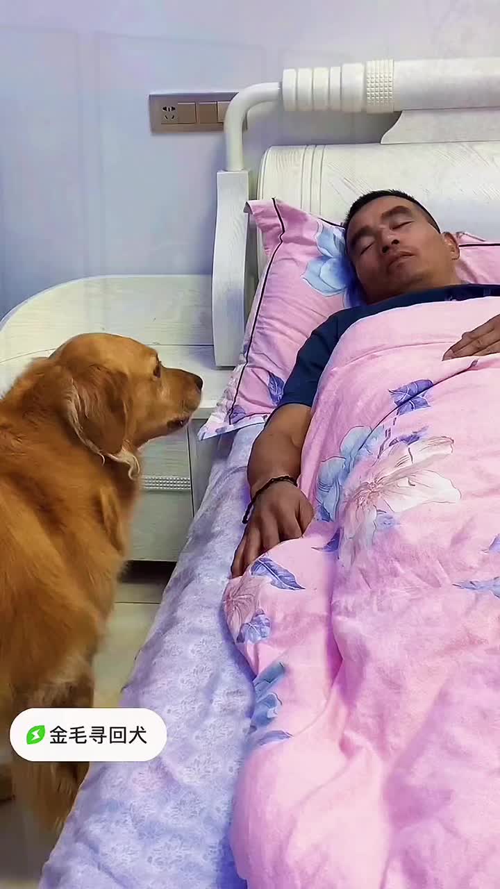 @Rufeng518