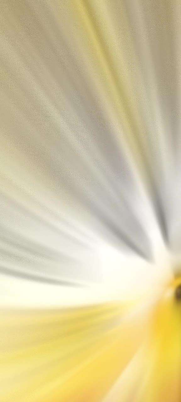 @🌺 অবুঝ মনের ভালোবাসা 🌺