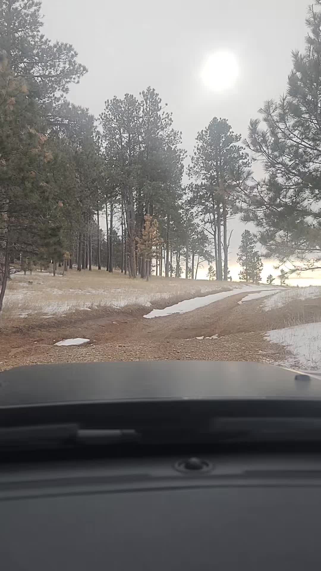 @Hills_Huntress83