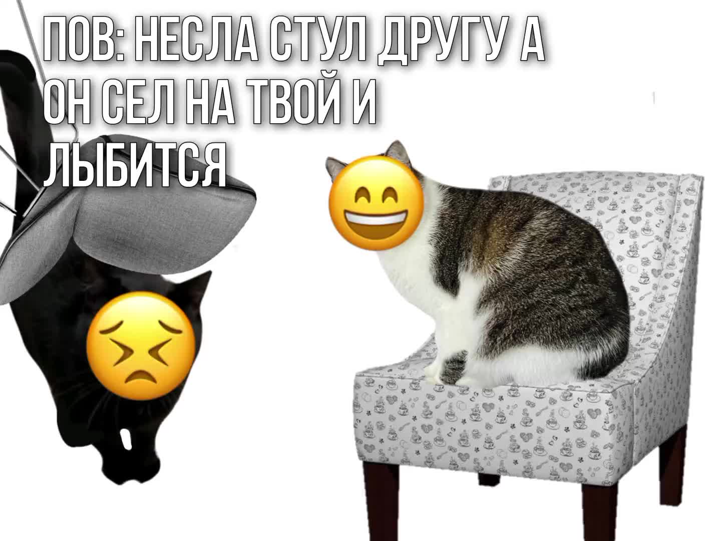 @FanSanishow 🌺