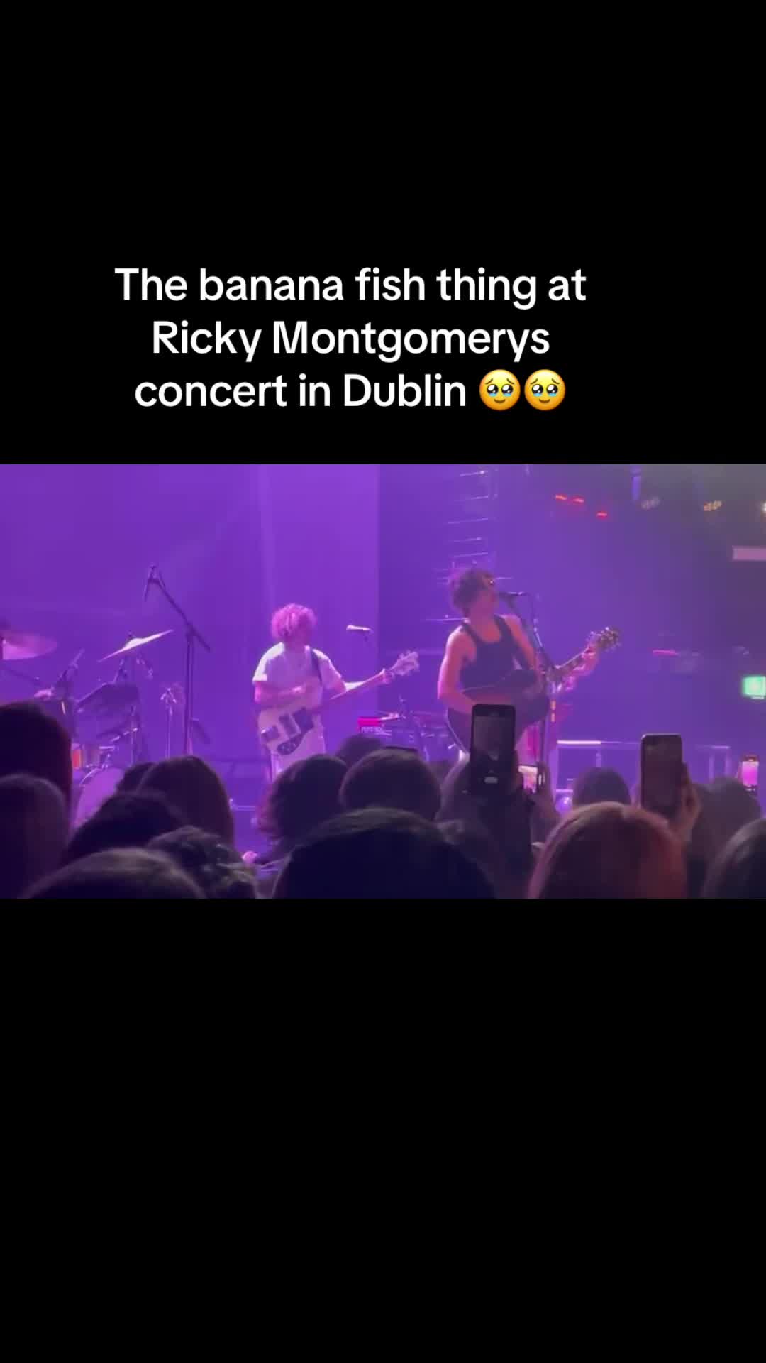 @Dino 🦕