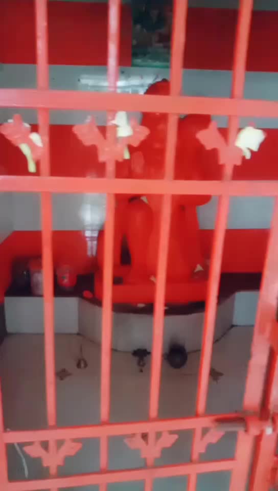 @vikas Chandrakar
