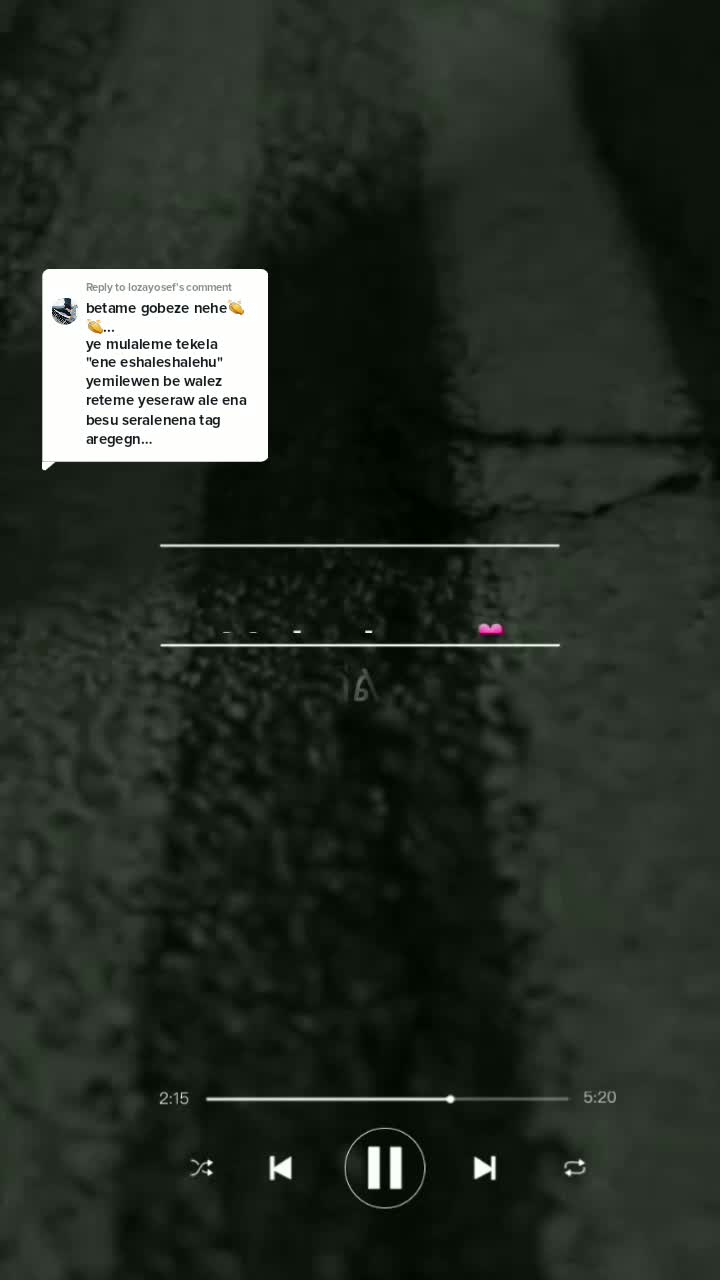 @s_________h(lyrics)