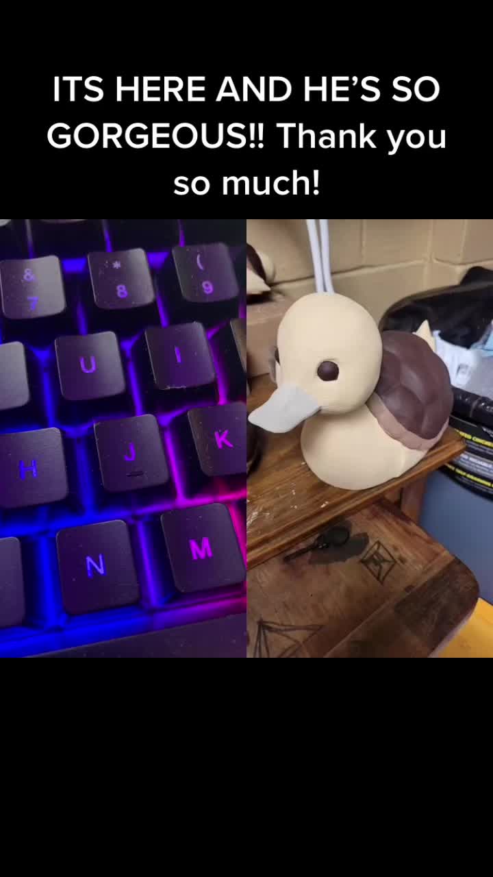 @Wingman 🫍⚒️