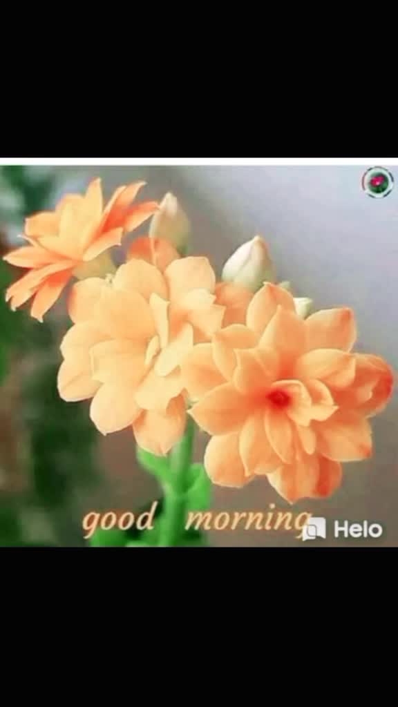@Divya Maleesh
