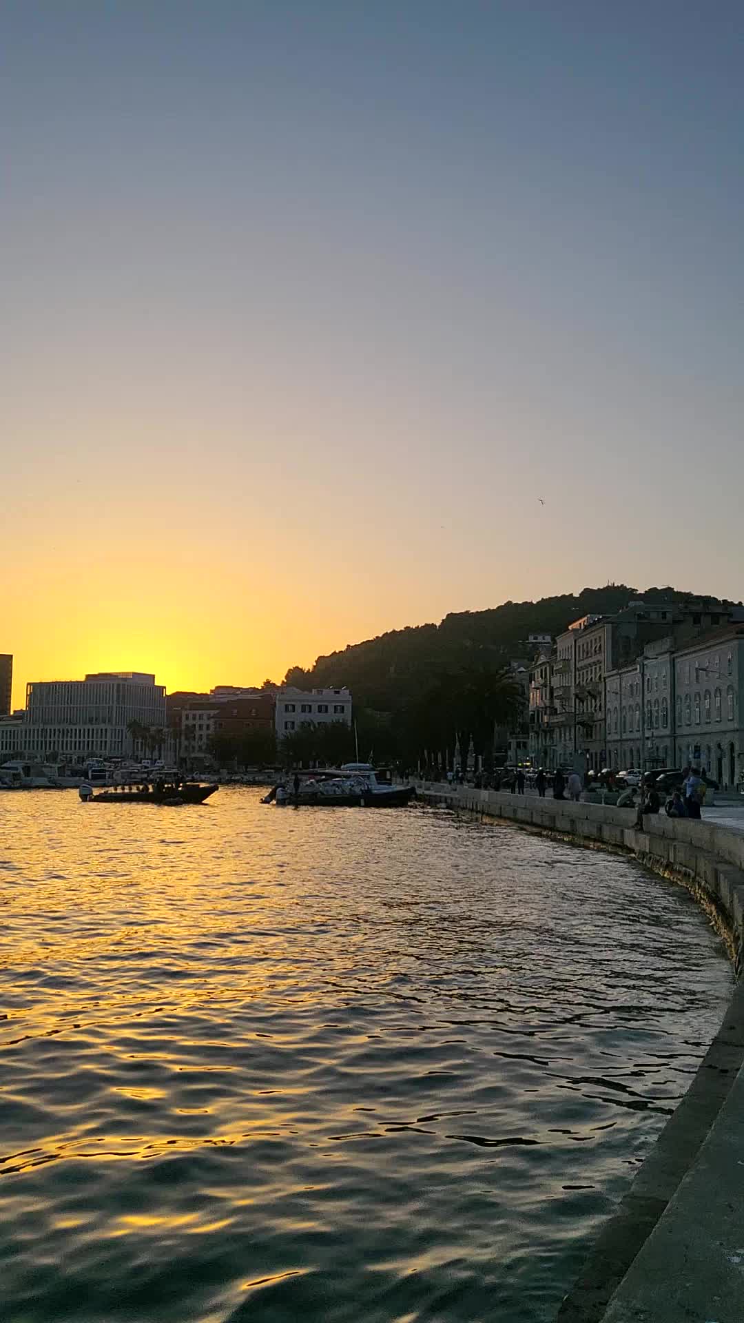 @TravelDino
