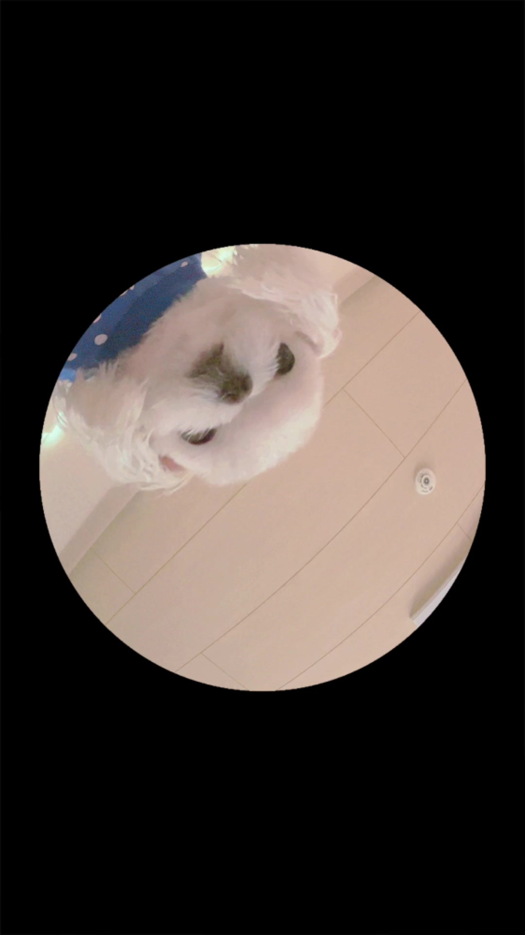 @DJvivi