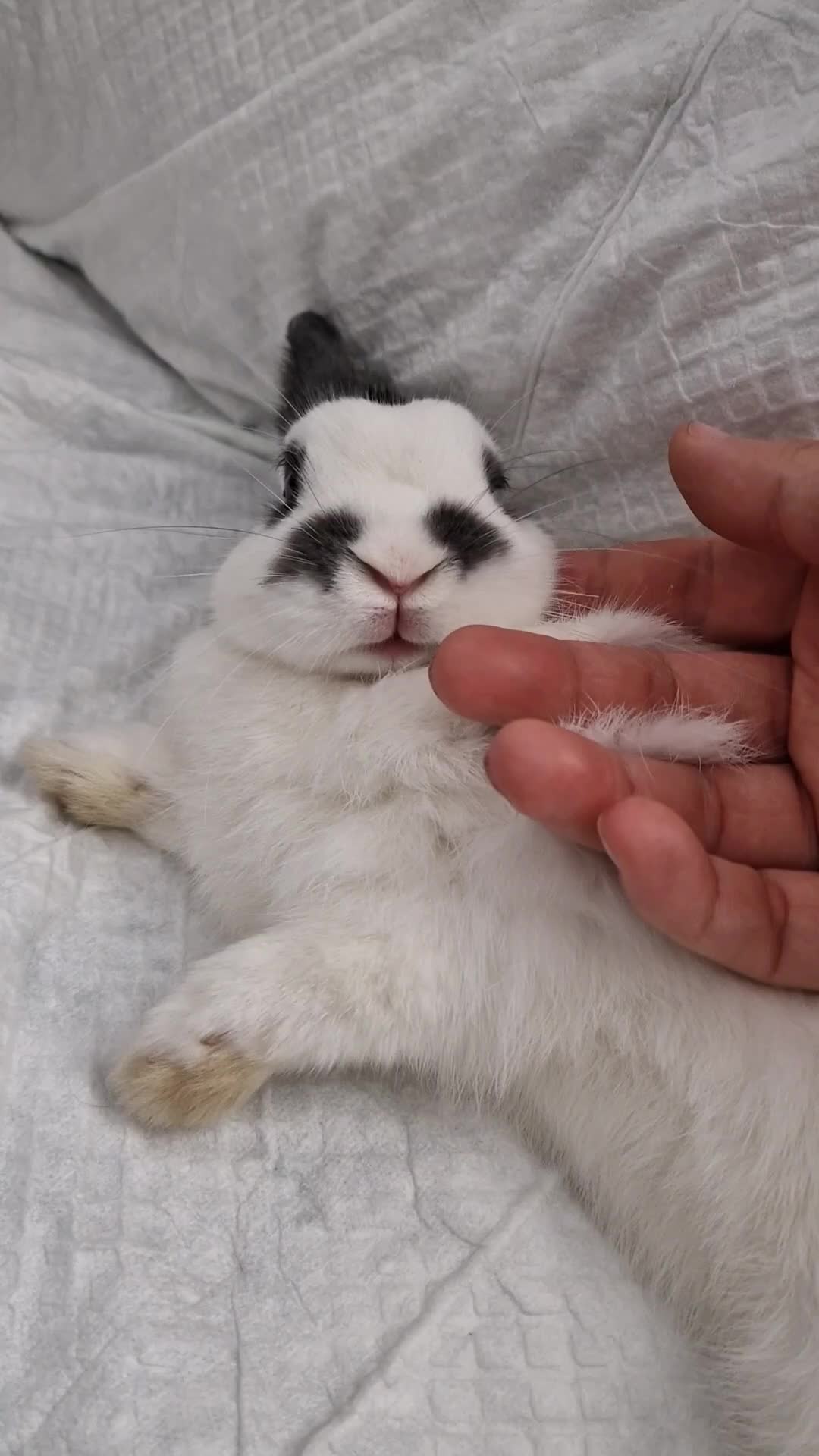 @๐ฐ๐
๐บ๐
/๐๐๐
บ๐
ธ