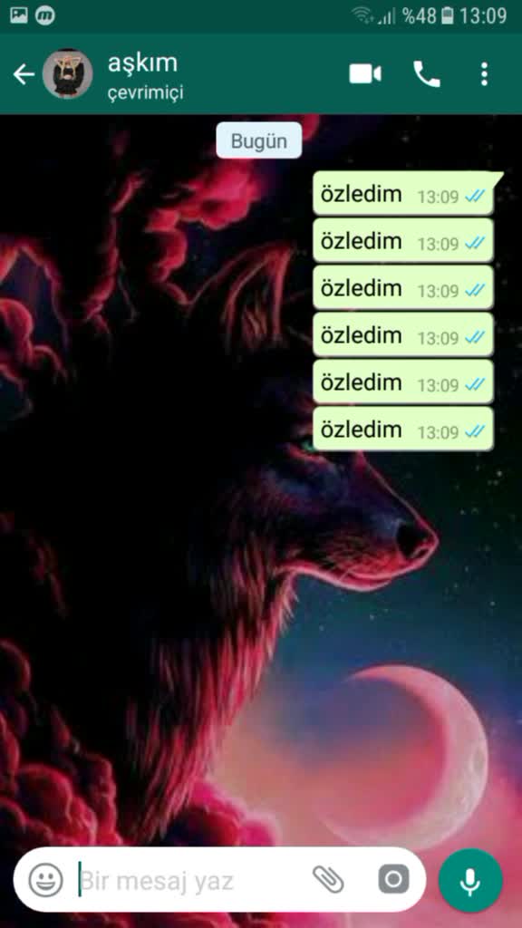 @ahmetsametkurt541