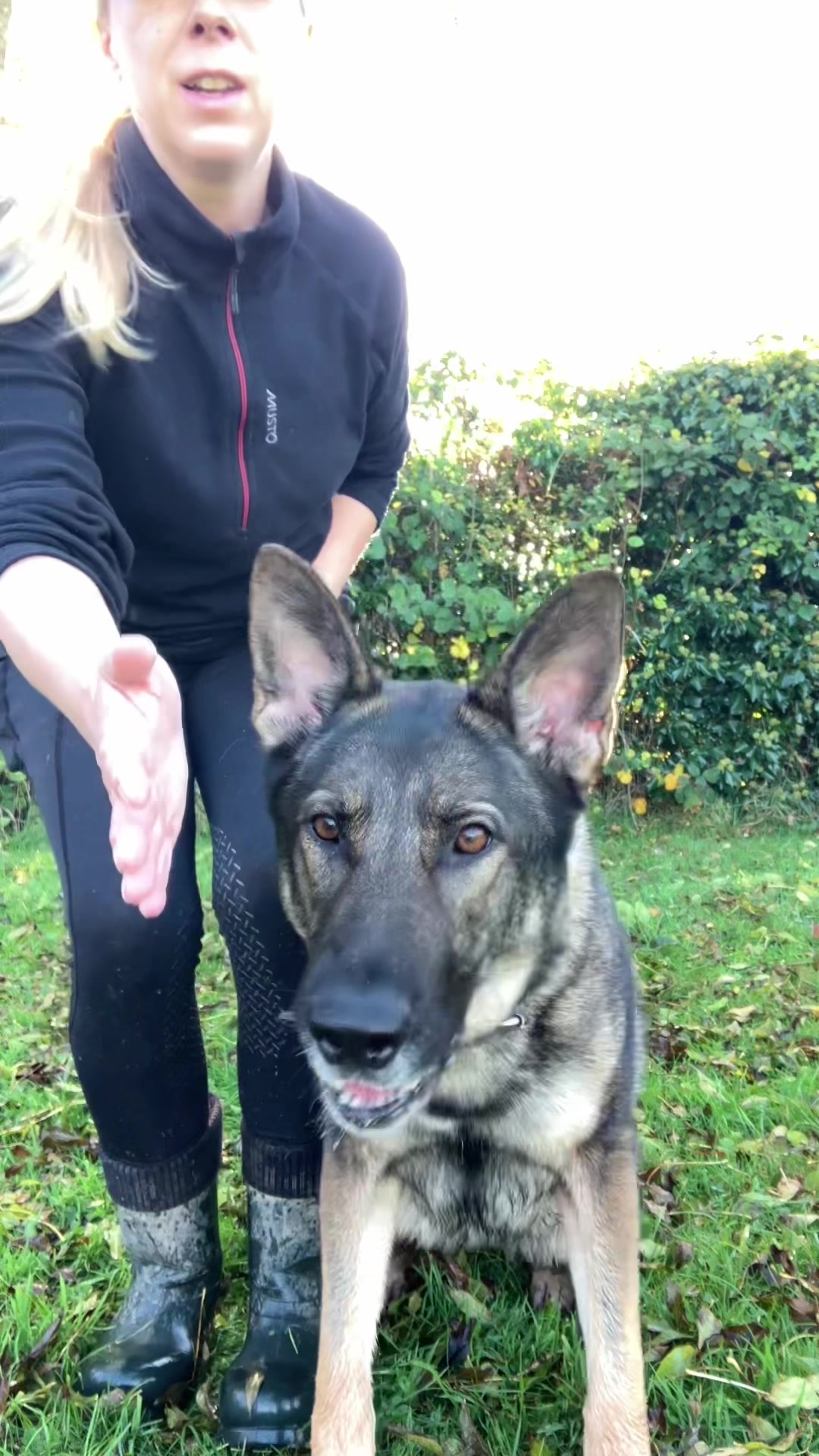 @Crazy GSD Lady